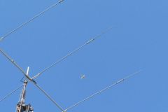 DSCN1892a